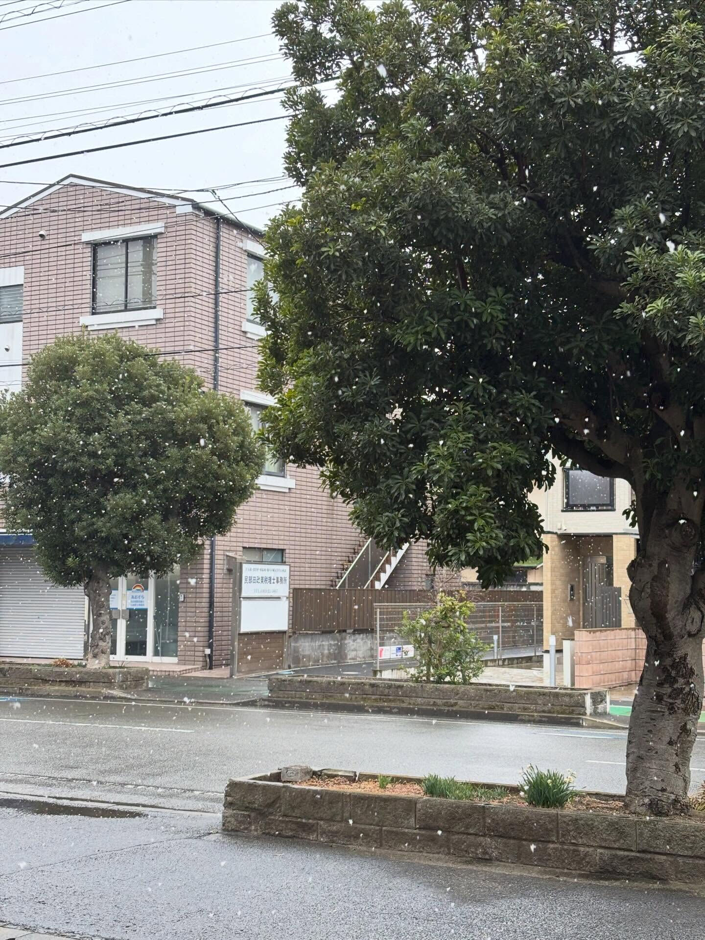 土曜日のレッスン時間は雪がちらついて、